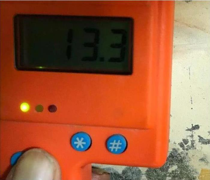 Moisture meter being used on mold growth