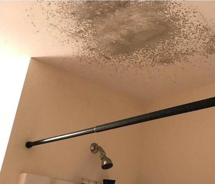 Image of mold growing on ceiling of bathroom. 