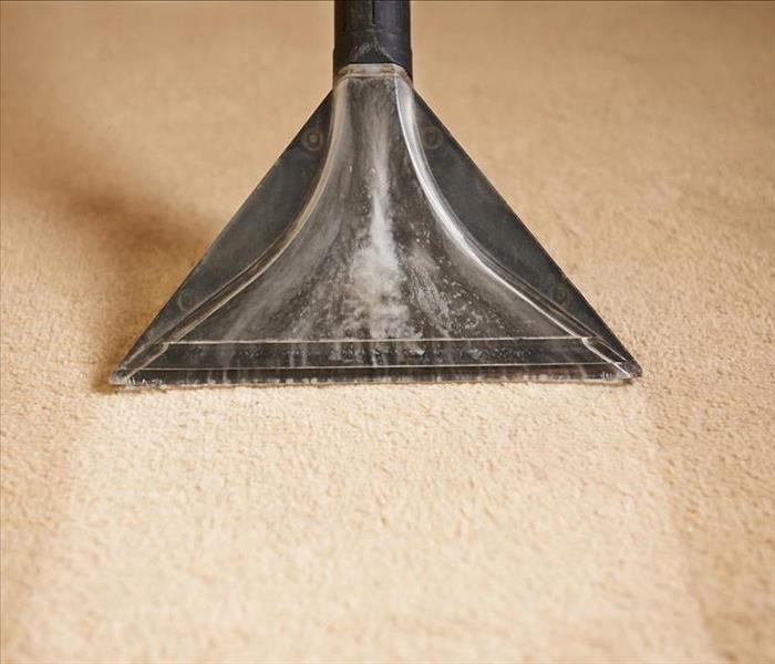Image of a carpet being cleaned. 